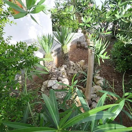 Iris וילה
